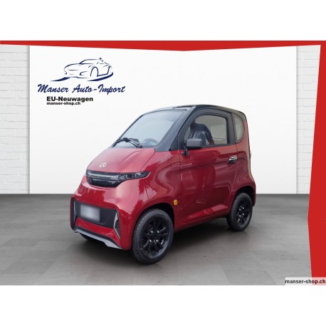 Elektro Seniorenmobil geschlossen ohne Führerschein 20 km/h Mofa-ZulassungNesslau Neu St. Johann Wattwil Toggenburg St.Gallen 